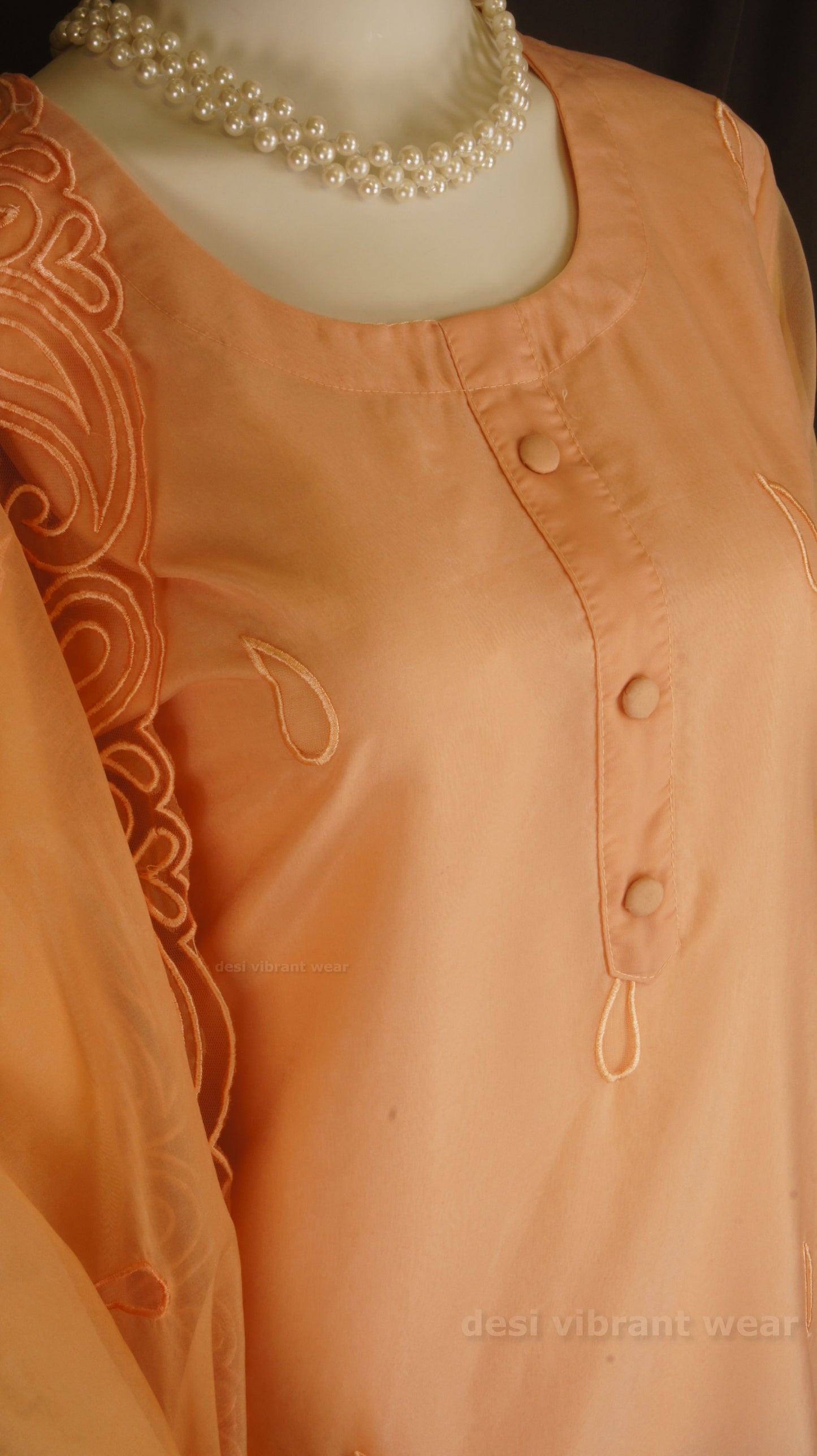 Soft Peach Organza Silk Suit