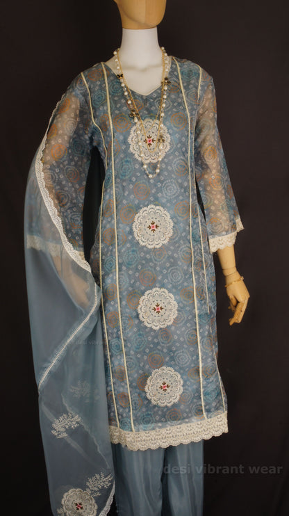 Graceful Blue Organza Silk Suit