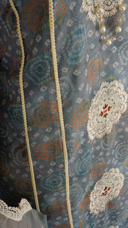 Graceful Blue Organza Silk Suit