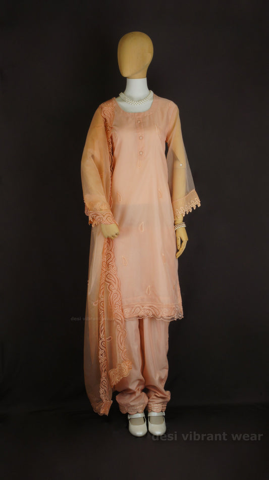 Soft Peach Organza Silk Suit